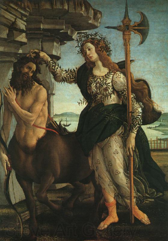 BOTTICELLI, Sandro Pallas and the Centaur f Spain oil painting art